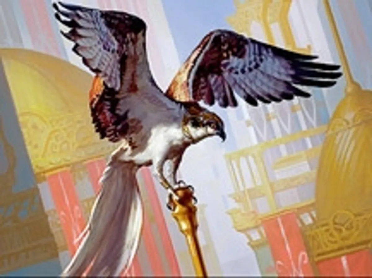 Ghirapur Osprey Magic: the Gathering card art